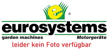 Schneckenrad Z1 mit Honda Motor